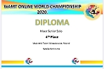 Mistrzostwa Świata Mażoretek online 2020_7